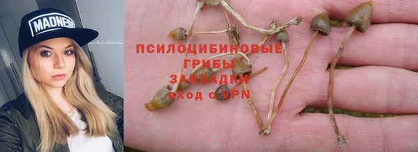 экстази Баксан