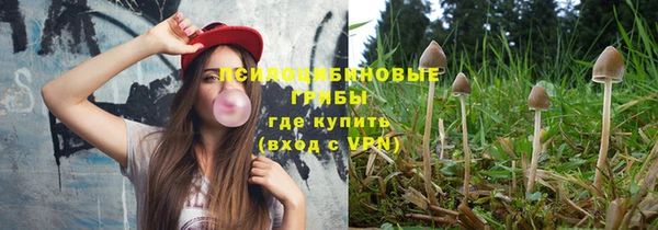 ПСИЛОЦИБИНОВЫЕ ГРИБЫ Балабаново