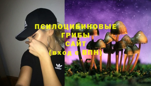 экстази Баксан